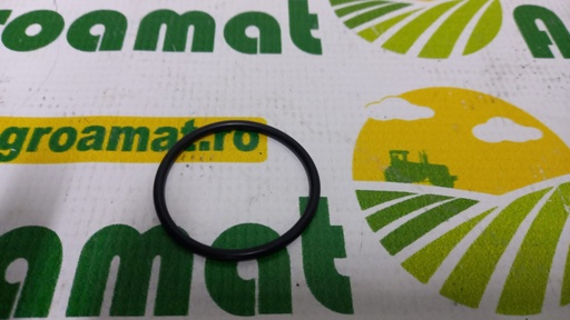 [AMAT1-46315] O-Ring 0007123261