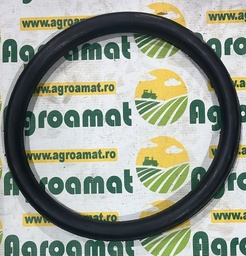 [AMAT1-52961] O-Ring 256x306x25mm