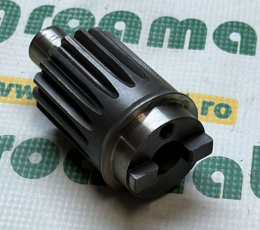 [AMAT1-54657] Pinion (1-Gaura) 5080071