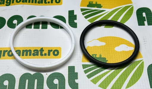 [AMAT1-55504] Kit O-Ring 1665685M91