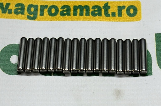 [AMAT1-55582] Rulment Pinion Satelit Fata 5103755