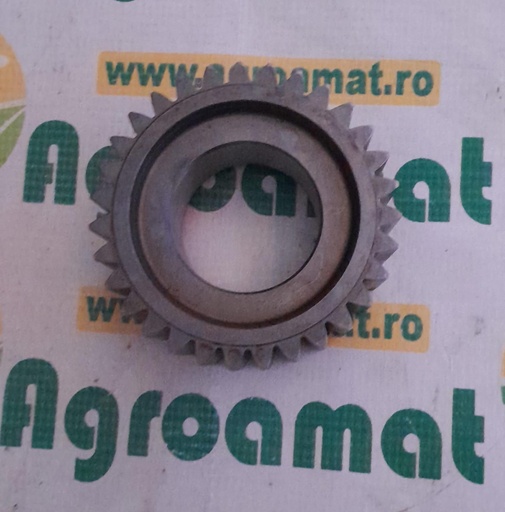 [AMAT1-60313] Pinion Satelit Z-31