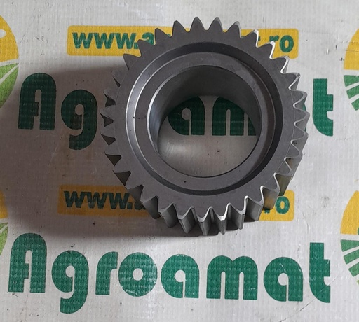 [AMAT1-60324] Pinion Satelit Z-31 292894A1