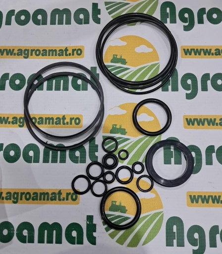 [AMAT1-60846] Set Garnituri Cilindru Forta FI 100