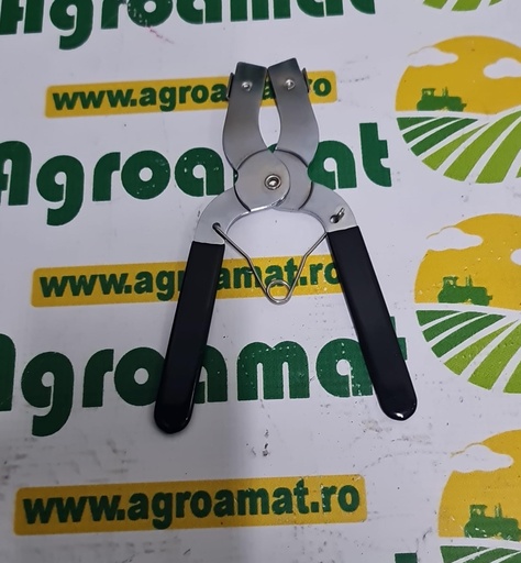 [AMAT1-61587] Cleste pentru Segmenti