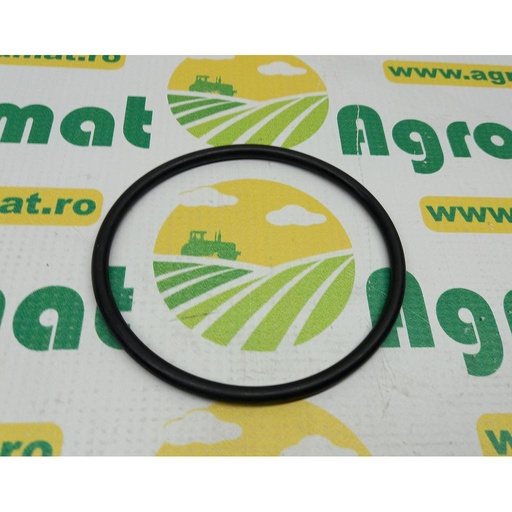 [AMAT1-04574] O-ring