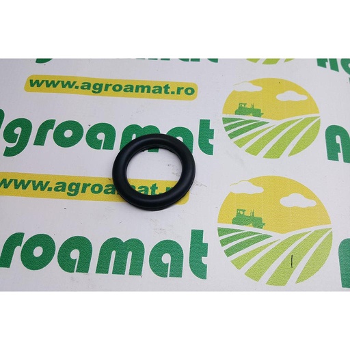 [AMAT1-18224] O-Ring 244054.0