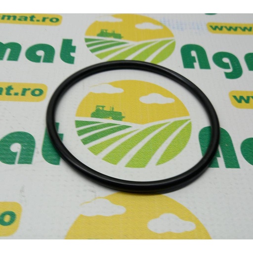 [AMAT1-18906] O-Ring 3531098M1