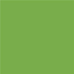 [AMAT1-19240] Vopsea Verde Deschis DF 0.75l