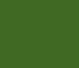 [AMAT1-19238] Vopsea Verde Amazone 0.75l