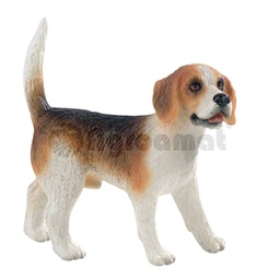 [AMAT3-91210] Beagle Henry