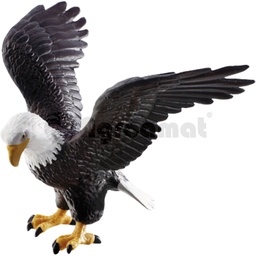 [AMAT3-91220] Vultur plesuv