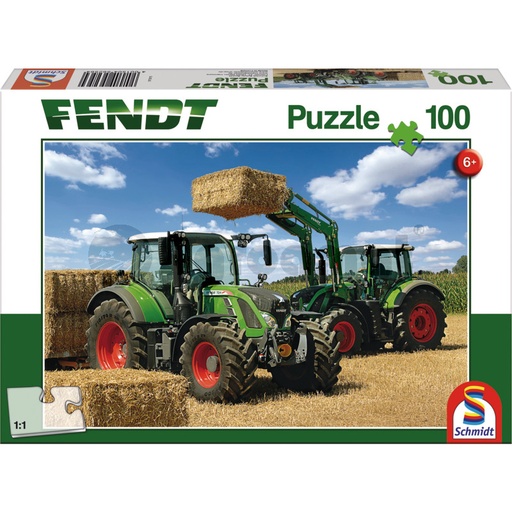 [AMAT3-91289] Puzzle, 100 de piese