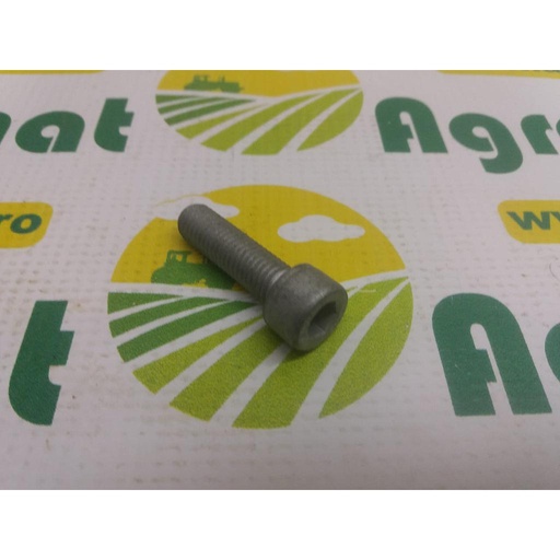 [AMAT1-28648] Bolt 01148371