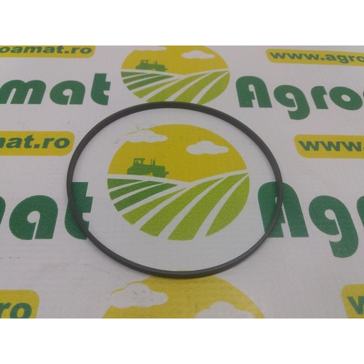 [AMAT1-28749] O-Ring 5126204