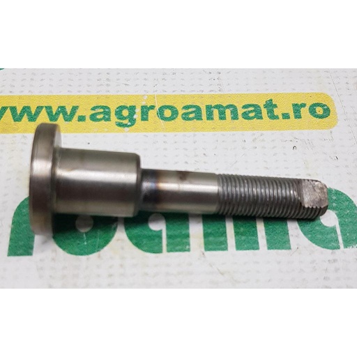 [AMAT1-30546] Bolt