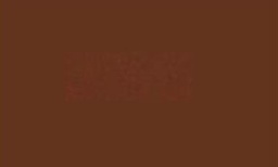 [AMAT1-31559] Vopsea maro ciocolatie David Brown 1l