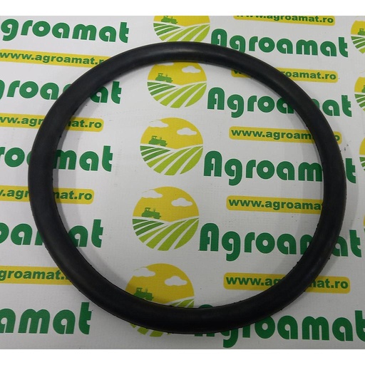 [AMAT1-37179] O-Ring 10 Mama 284x328x22mm