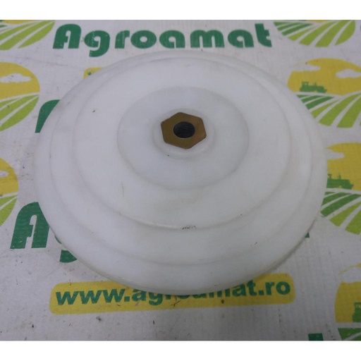 [AMAT1-40756] Fulie Sfoara Plastic